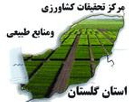 انتصاب رییس مرکز تحقیقات و آموزش کشاورزی استان