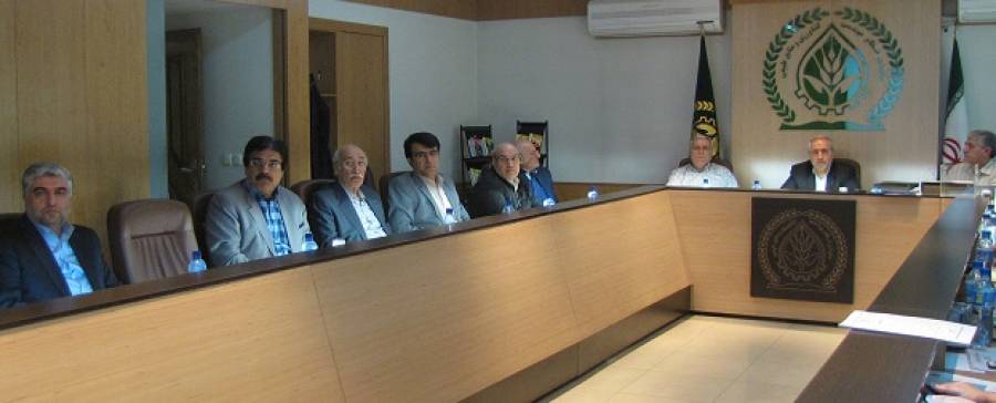 یک خوزستانی در پایتخت حکم گرفت