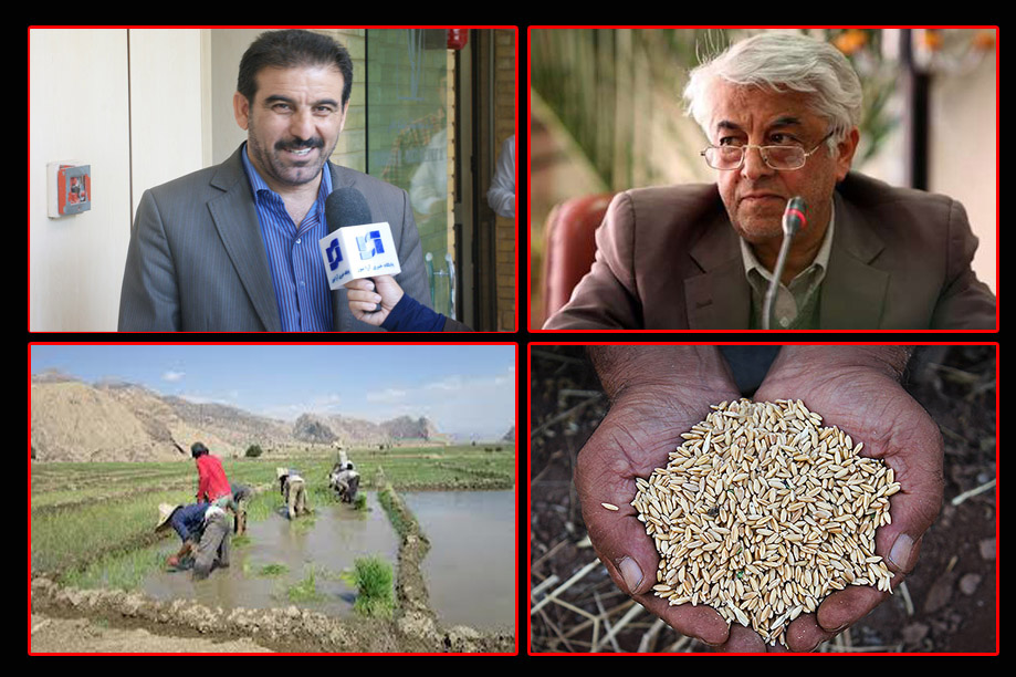 گردهمایی محققین و مروجین کشاورزی استان با حضور معاون وزیر کشاورزی