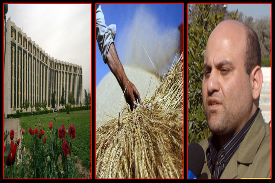 اگر آب کشاورزان فراهم نگردد مسئولیت هرگونه واکنش مزرعه داران بر عهده ی سازمان آب و برق خواهد بود