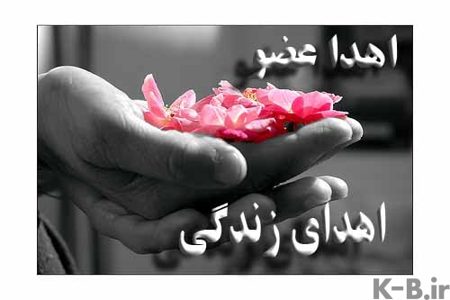 اعضاء بدن معلم هم‌استانی به نیازمندان حیاتی دوباره داد