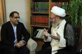 آیت الله سبحانی: خدمات وزارت بهداشت در طول تاریخ کم نظیر است
