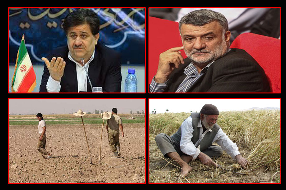 چنگال چنگلوایی روی گلوگاه کشاورزی خوزستان