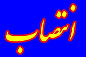 ذبیح الله کریمی به عنوان مشاوراستانداردرامور هماهنگی با مجمع نمایندگان منصوب شد