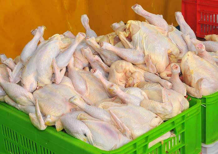 کاهش قیمت مرغ از ۳ روز آینده
