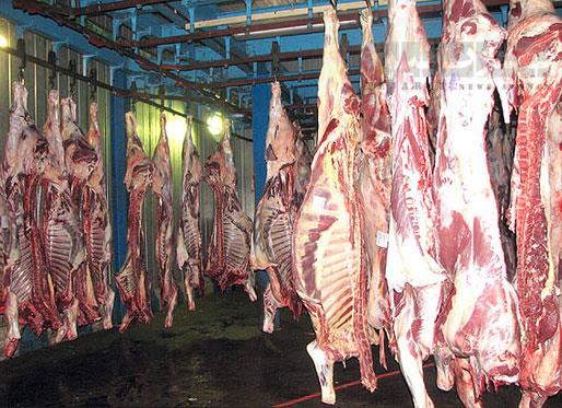 احتمال کاهش قیمت گوشت گوسفندی از اردیبهشت ۹۴