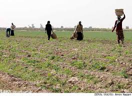امان ازوعده مدیران برق خوزستان/ روستای غرابی هندیجان سال هاست بی برق مانده است