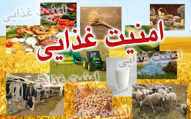 تغذیه نامناسب تهدید اصلی سلامت در ایران/ 7 استان در قعر فهرست