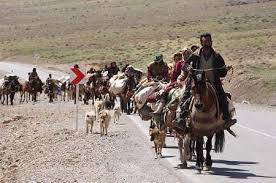 آغاز کوچ بهاره عشایر یه مناطق ییلاقی کشور