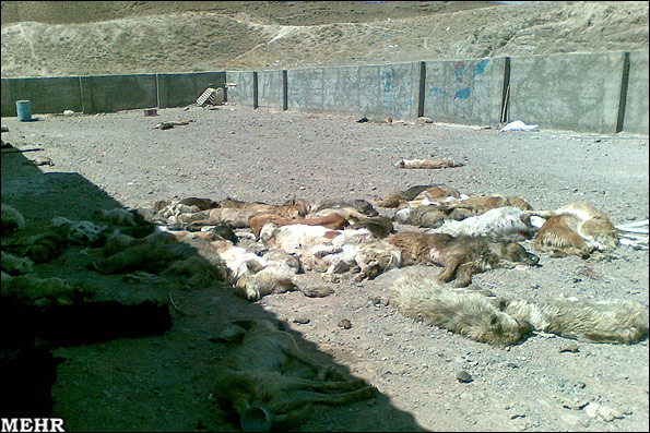 نامه ابتکار به وزیر کشور