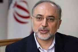 صالحی:  جمهوری اسلامی ایران در تعاملات بین المللی جزو کشورهای قدرتمند است