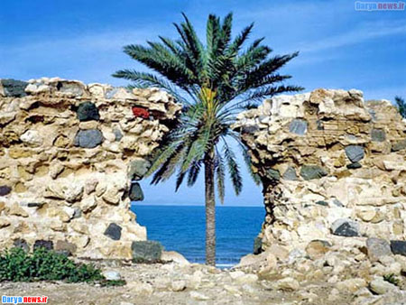 بازداشت موقت مدیر عامل اسبق منطقه آزاد قشم