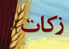 اعلام مبلغ زکات فطره از سوی دفتر آیت الله موسوی جزایری