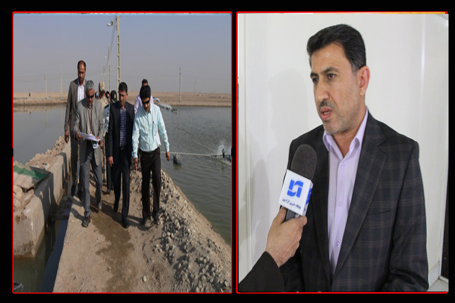 ماموریت فرماندار ابادان به دستور استاندار خوزستان برای احیای دوباره صنعت پرورش میگو درچوئبده