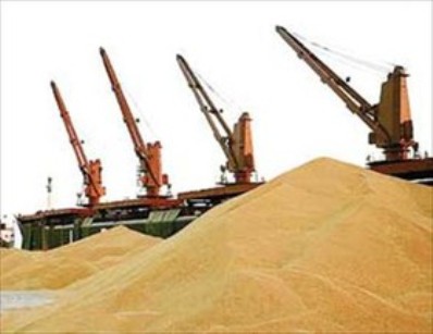 خودکفایی در تولید گندم/ با افزایش خرید تضمینی امسال نیاز به واردات نیست