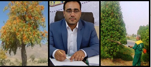 توسعه فضای سبز یکی از الویت های اساسی شهرداری رامشیر است