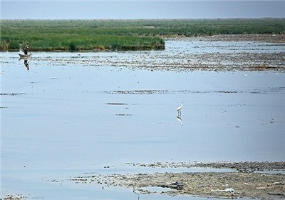  سدسازی‌های گسترده دلیل خشک‌شدن تالاب‌ها و تشدید ریزگردها در خوزستان 