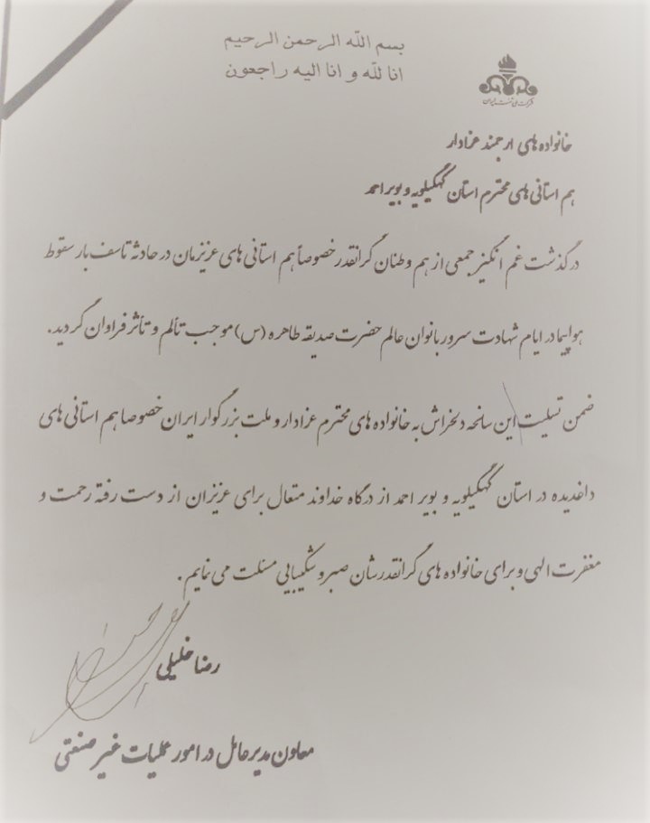 پیام تسلیت خلیلی معاون وزیر نفت: برای خانواده‌های هموطنانم در حادثه سقوط هواپیما از درگاه احدیت صبر جمیل و اجر جزیل مسئلت می نمایم