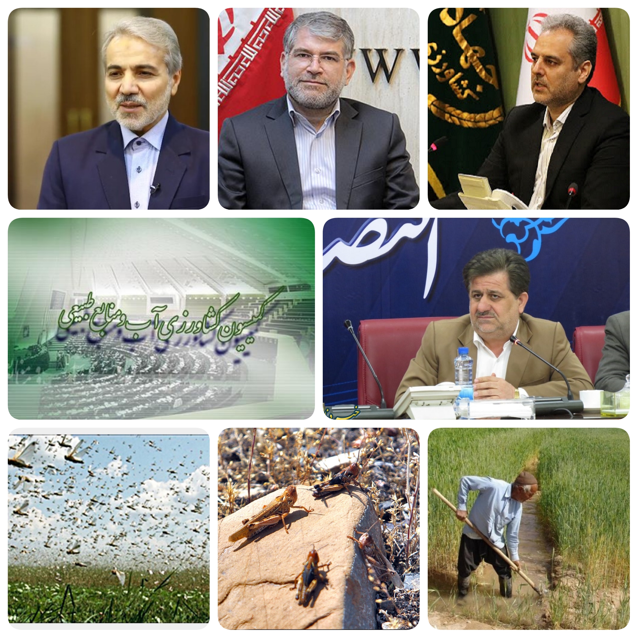 خطر در کمین&zwnj; زمین های کشاورزان  هجوم گسترده  ملخ های صحرایی به کشور در چند روز آینده( مجلس ودولت به گوش باشید)/یک&zwnj; گزارش بین&zwnj;المللی از آخرین وضعیت &zwnj;ملخ صحرایی در جهان&zwnj;بر روی سایت فائو قرار می&zwnj;گیرد و  شاهد ورود ملخ&zwnj;صحرایی از مرز شمالی کشور عربستان با کویت و عراق به سمت ایران در حال حرکت و چند روز های آینده خبر می&zwnj;دهد/قابل&zwnj; توجه&zwnj;کمیسیون کشاورزی مجلس ودولت/ساداتی نژاد رئیس کمیسیون کشاورزی مجلس و&zwnj;نوبخت رئیس سازمان برنامه وبودجه کشور  اعتبار مقابله با ملخ ها به کشور را اختصاص دهند/چنگلوایی رئیس سازمان&zwnj;حفظ و نباتات کشور و مشاور وزیر  وزارت جهاد کشاورزی در گفتگویی اختصاصی گفت:پیش بینی می شود دسته های گسترده  ملخ صحرایی از چند روزهای آینده وارد کشور می شوند/جولان ملخ&zwnj;ها در مرزهای ایران کشاورزان را تهدید می&zwnj;کنند/زمین &zwnj;های کشاورزی ایران در تیررس هجوم&zwnj;ملخ&zwnj; های صحرایی/جهت باد حمله ملخ&zwnj;ها به سمت ایران است/ دولت اعتبار مقابله با ملخ ها را اختصاص دهد/زنگ  خطر برای امنیت غذایی کشور آماده سازی  کشاورزان برای  مقابله بااین افت پروازی/خیز بلند&zwnj;&zwnj;&zwnj; &zwnj;&zwnj;و آماده باش  سازمان حفظ نباتات وزارت جهاد کشاورزی برای مبارزه&zwnj; با &zwnj;ملخ های صحرایی در سراسر استانها