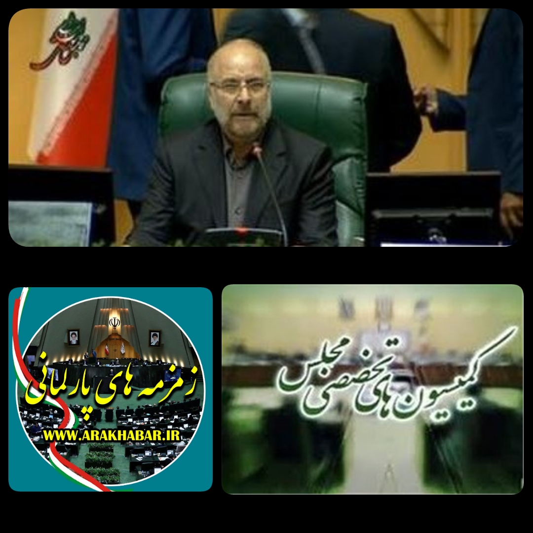 بررسی برخی اعضای  کمیسیون آیین نامه داخلی مجلس و نحوه عضویت نمایندگان و تخصصی برمبنای  تحصیلات و سوابق مرتبط و اصلاح دستور العمل اجرایی ماده ۳۶ قانون/هفته آینده کمیسیونها نهایی می شود