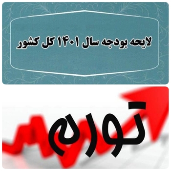 واکاوی اثرات تورمی بودجه /لایحه بودجه سال آینده تا ۲۵ درصد انقباضی است/+جدول مقایسه لایحه بودجه ۱۴۰۱