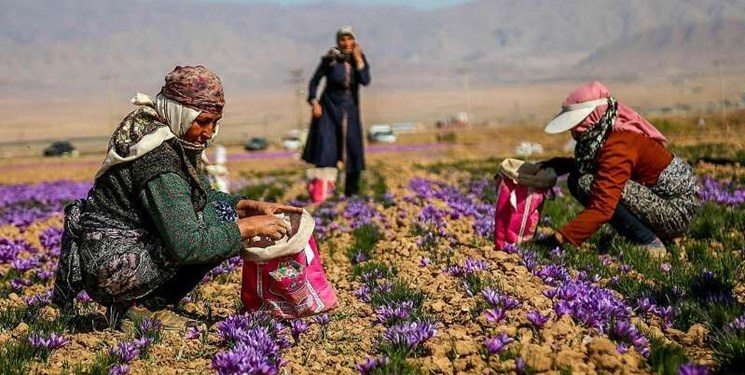 تعیین بودجه اجرای طرح همپایگی امنیت با توسعه شهرها و روستاها