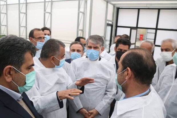 سرمایه گذاری ۳۰۰۰میلیارد تومانی برای احیای بخش کشاورزی مازندران