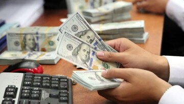 مجلس چه اختیاراتی به دولت برای ارز ترجیحی داد؟