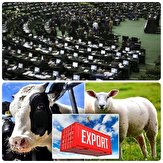 دقایقی پیش در نوبت عصر/خبرنگار مستقر در صحن علنی مجلس/بررسی بخش درآمدی لایحه بودجه ۱۴۰۱&zwnj;کل کشور و عوارض صادرات دام سبک تعیین شد