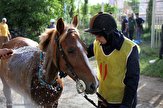 جشنواره زیبایی اسب در اردبیل آغاز شد