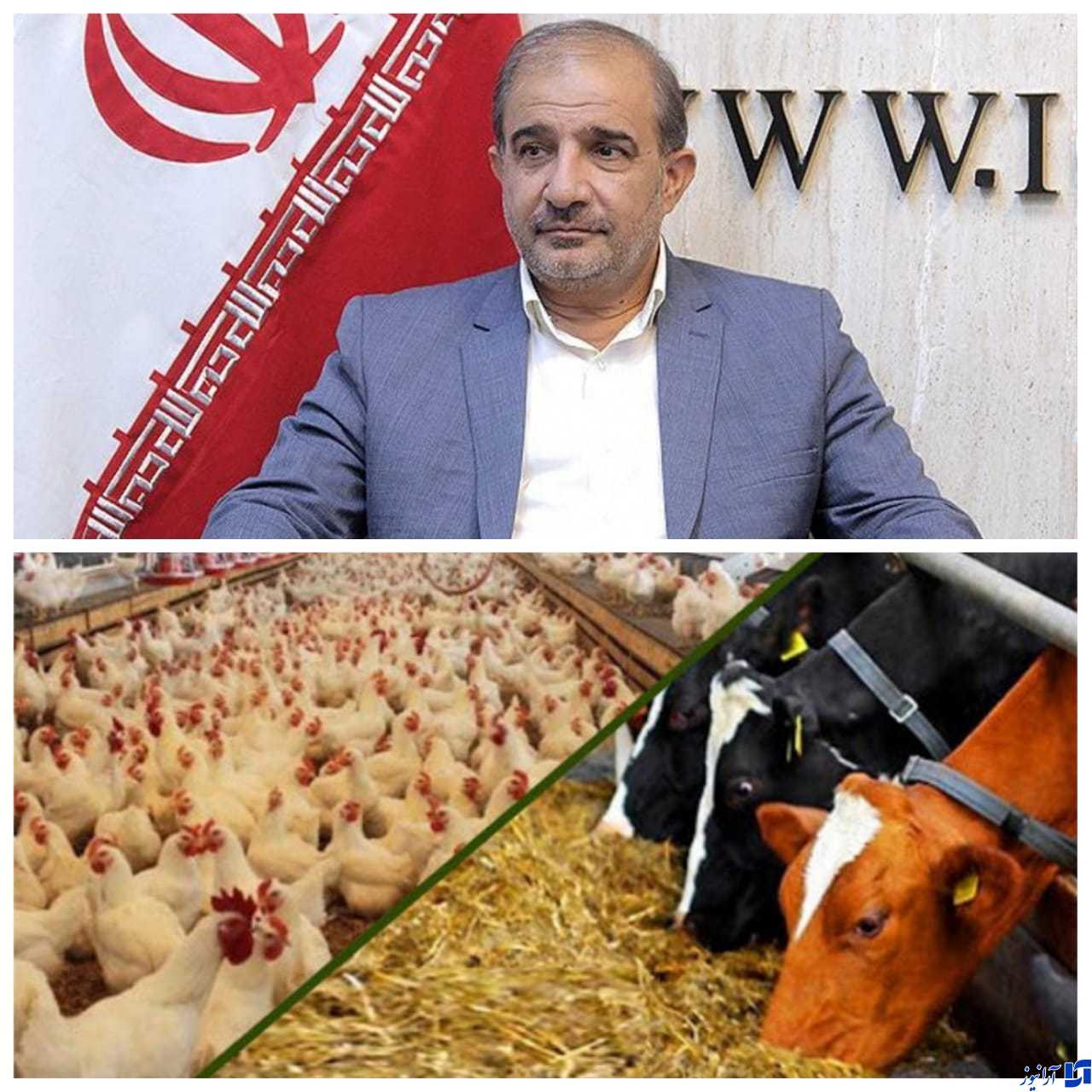 شرجی۹۰&zwnj;درصدی جلودارعسکری نماینده مجلس و نائب اول رئیس کمیسیون کشاورزی در بازدید میدانی از تنگه هرمز استان هرمزگان و در قلب کشتی های حامل نهادهای دامی هم نشد/