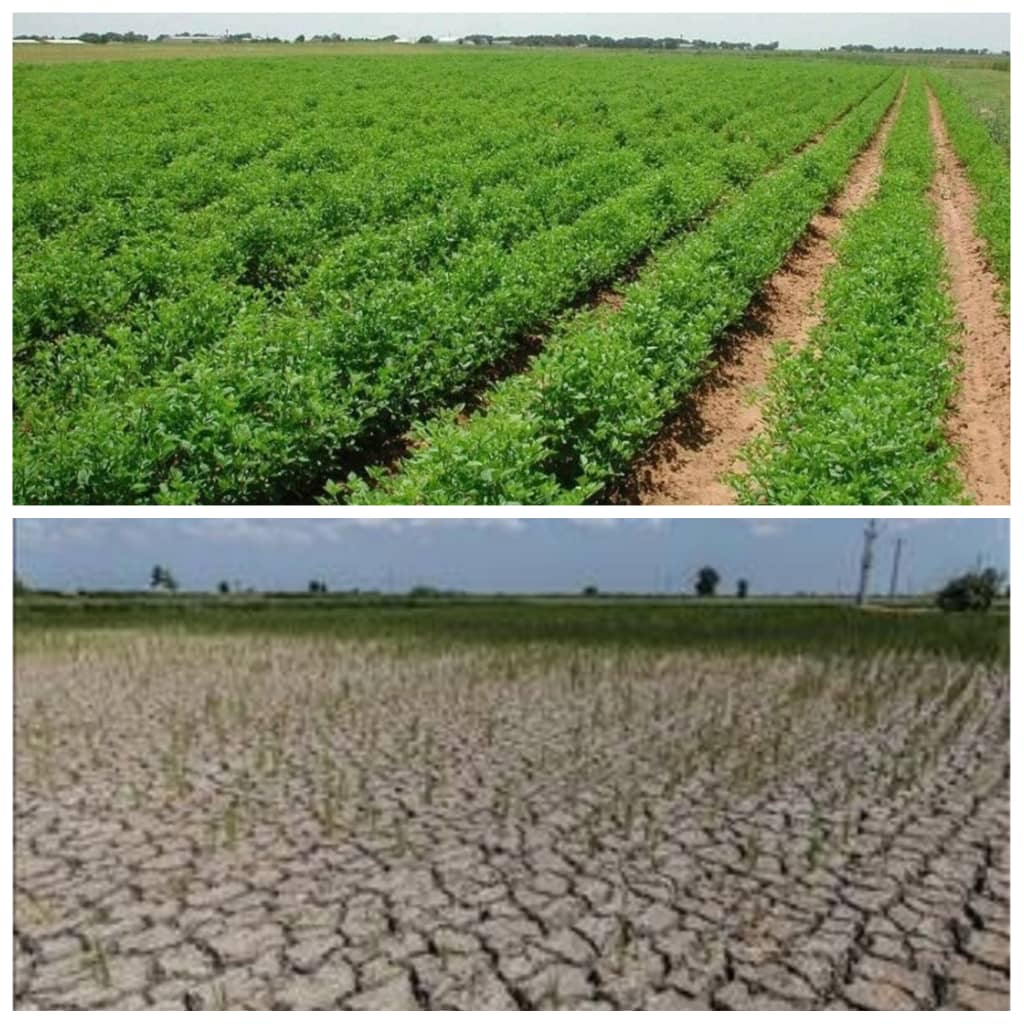 چگونه خوزستان حاصلخیز به استانی خشک تبدیل شد؟ چگونه خوزستان حاصلخیز به استانی خشک تبدیل شد؟
