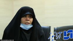 خلأ در نظارت بر قانون دلیل عدم اجرای قوانین حمایتی از مادران