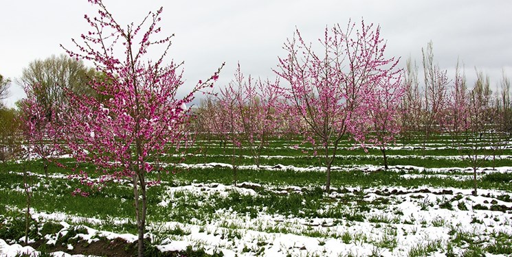 سرما و یخبندان در ۱۶ استان/ کمینه دمای پایتخت فردا به صفر درجه می&zwnj;رسد