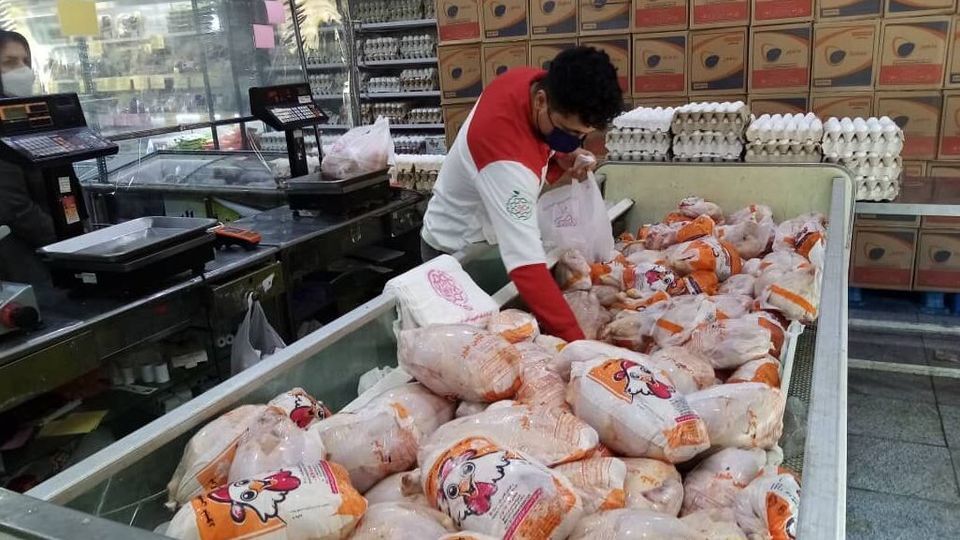 عرضه گوشت و مرغ دولتی در ۲۰۰ میدان و بازار میوه و تره بار تهران عرضه گوشت و مرغ دولتی در ۲۰۰ میدان و بازار میوه و تره بار تهران