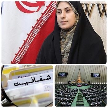 دنده عقب بهارستان نشینان برای طرح شفافیت آرا/طرح شفافیت آرا بدون اولویت دار شدن به عمر مجلس یازدهم قد نمی دهد