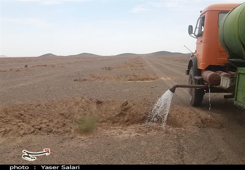 عملیات مراقبت و آبیاری سنواتی در کانون&zwnj;های بحرانی استان خراسان جنوبی آغاز شد