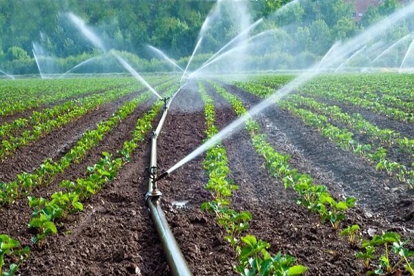 تجهیز ۳۲۸۰۰ هکتار از اراضی کشاورزی کرمانشاه به سیستم آبیاری نوین