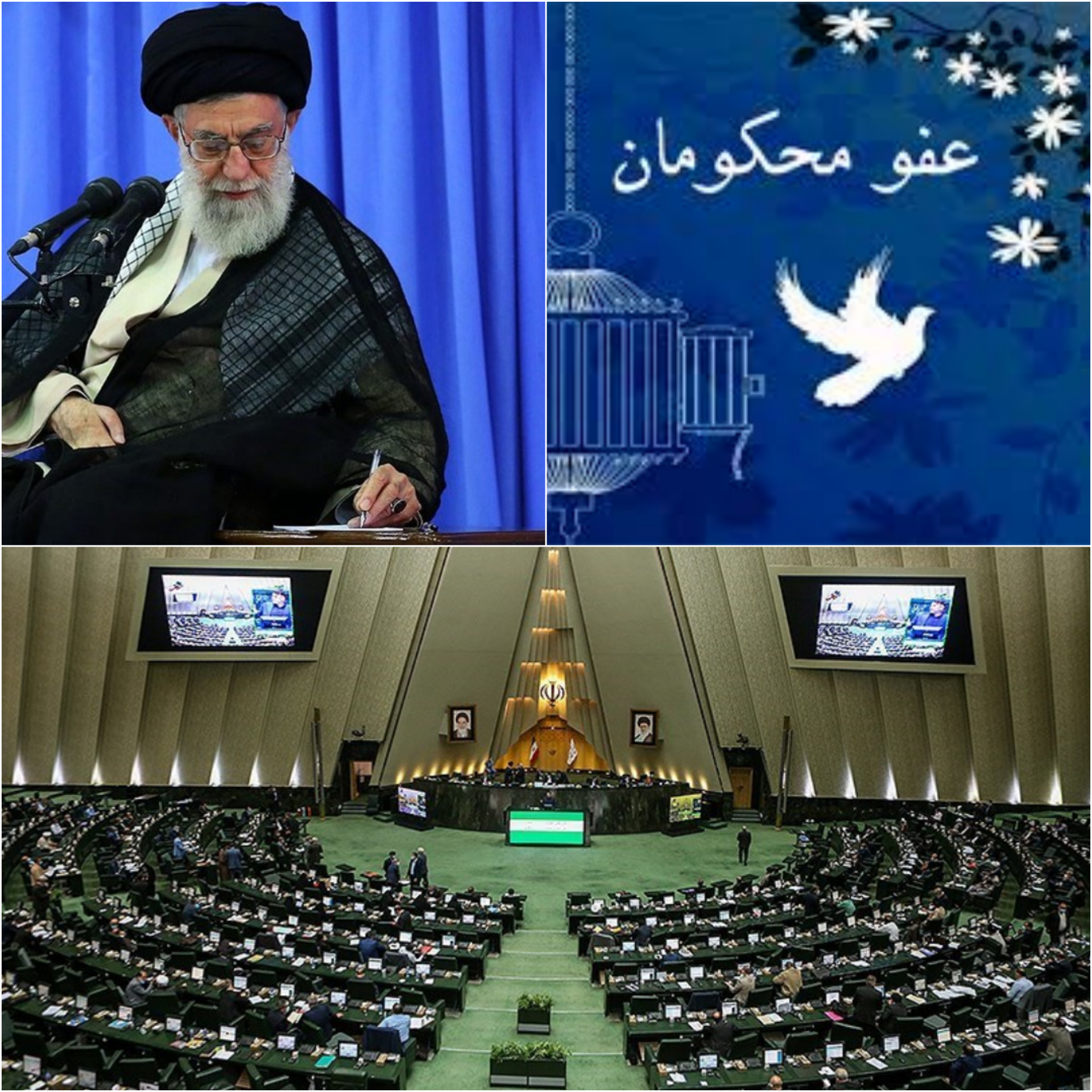 نطق نمایندگان مجلس|  نمایندگان مجلس از موافقت رهبر انقلاب  با عفو گسترده متهمان قدردانی کردند