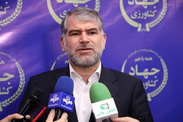 ایجاد ۱۲۵ هزار هکتار گلخانه در دستورکار است