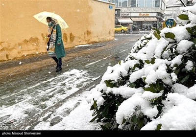 تصاویر منتخب روزهای برفی تهران