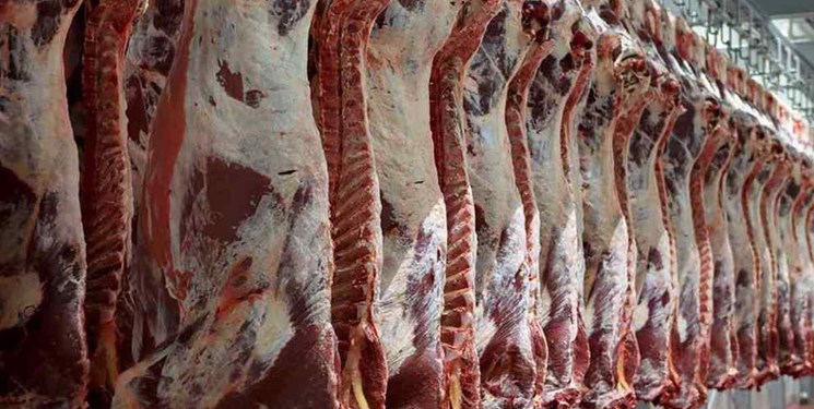 عرضه گوشت گرم وارداتی به هفته آینده موکول شد عرضه گوشت گرم وارداتی به هفته آینده موکول شد