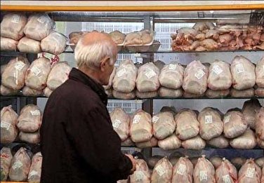 رئیس کمیسیون کشاورزی مجلس: سرانه مصرف گوشت سفید افزایش یافت