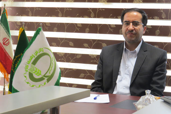 لزوم افزویش کشت دانه های روغنی در قزوین