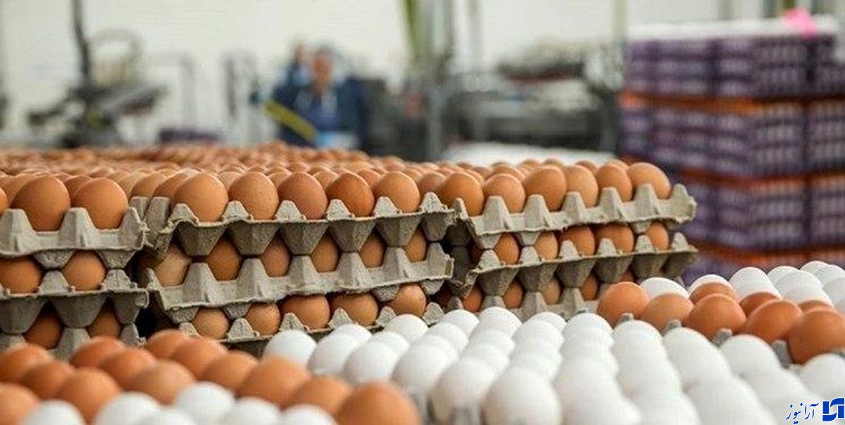 قیمت هر شانه تخم مرغ به ۳۹ هزار تومان کاهش یافت قیمت هر شانه تخم مرغ به ۳۹ هزار تومان کاهش یافت