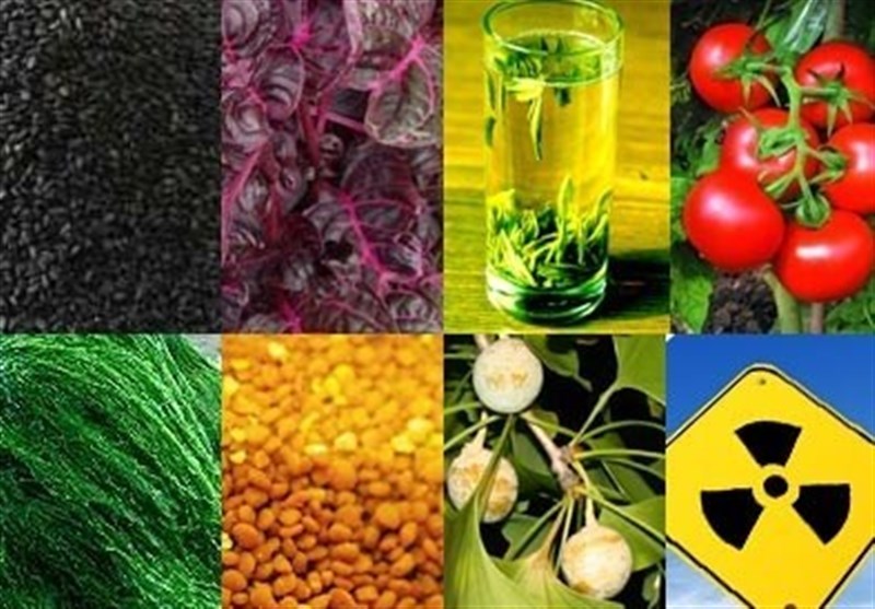 جهاد کشاورزی خوزستان برای مبارزه با آفات ۵۰۰ هزار هکتار از اراضی را سمپاشی کرد