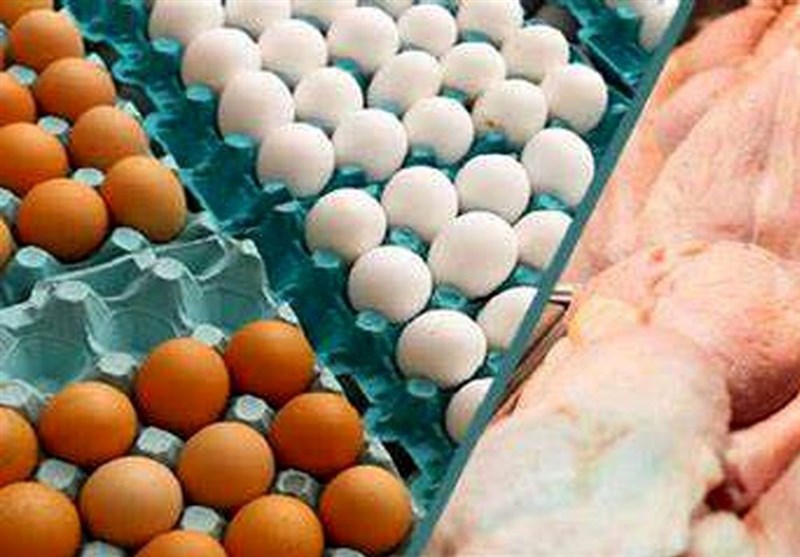 استان خراسان رضوی فردای اصلاح ارز ترجیحی| تقاضای مازاد عامل تشکیل صف&zwnj;&zwnj;های مرغ و روغن / آرامش بر بازار حاکم است