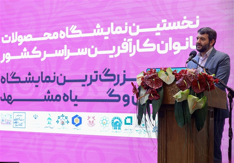 وزیر تعاون در مشهد مقدس: نظام صدور مجوزها در مشاغل خانگی تسهیل شد&nbsp;/ صدور ۷۵۰۰۰ مجوز فقط در دوماه