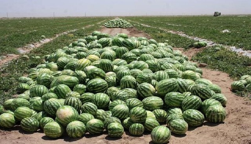 ایران به ترکیه آب صادر می‌کند!