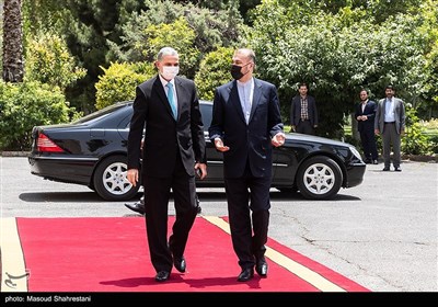 امیرعبداللهیان وزیر امور خارجه و عثمان الغانمی وزیر کشور عراق